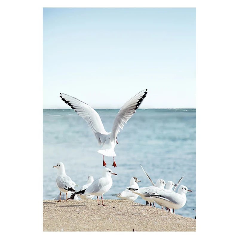 Nordic Beach Sea Ocean Wall Art: Turtle, Starfish Canvas Print for Summer Home Decor